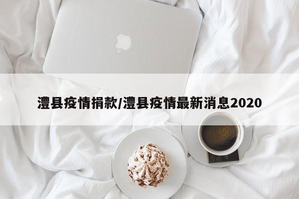 澧县疫情捐款/澧县疫情最新消息2020